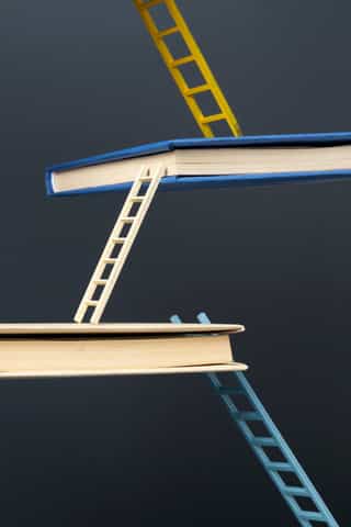 Immagine {{ section.title }}